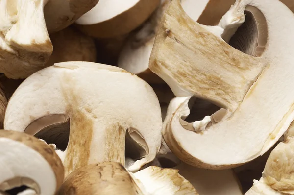 Mushroom skivor bakgrund — Stockfoto