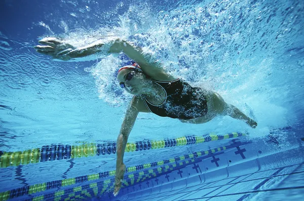 Female Swimmer Swimming In Pool Stock Photo