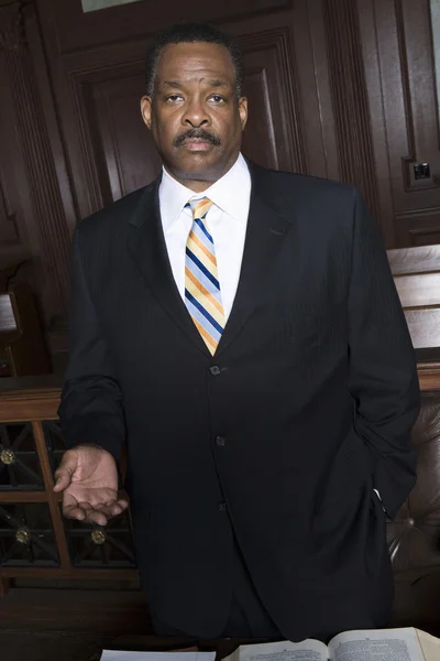 Lawyer Standing In Courtroom — Stock Photo, Image