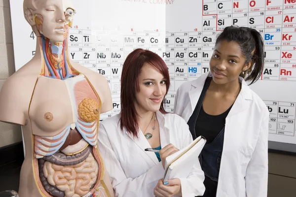 Studenten die studeren menselijke anatomie — Stockfoto