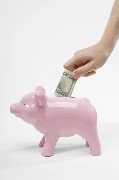 Hand steckt Dollarschein in Sparschwein — Stockfoto