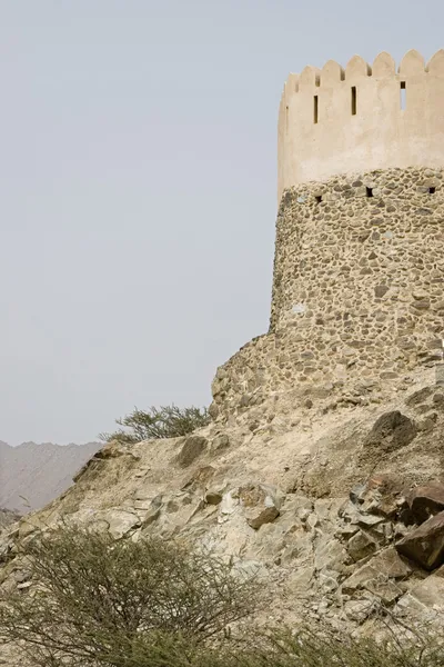 Al Bidyah Mosque — Stock Photo, Image