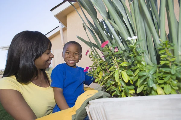 女人和儿子抚育植物 — 图库照片