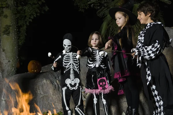 Дети в костюмах на Хэллоуин готовят зефир у костра — стоковое фото