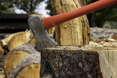 Axe wedged into tree stump clipart