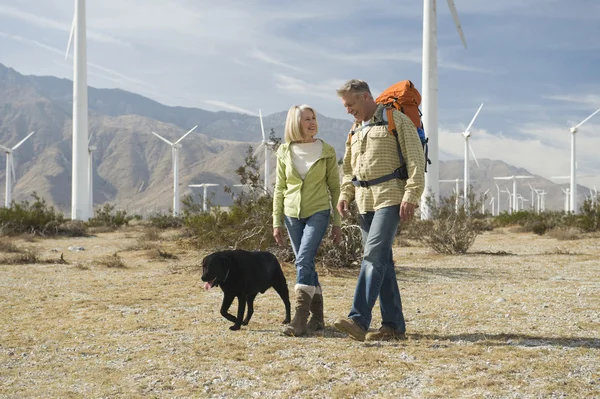 Seniorenpaar geht mit Hund nahe Windpark spazieren — Stockfoto