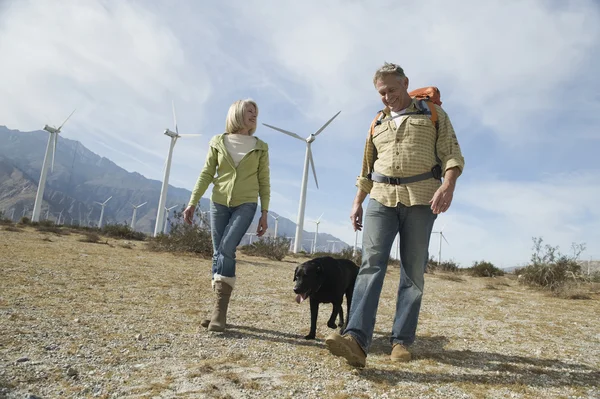 Seniorenpaar geht mit Hund nahe Windpark spazieren — Stockfoto