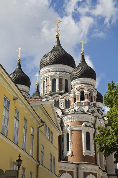 Alexander Nevsky Katedrali — Stok fotoğraf