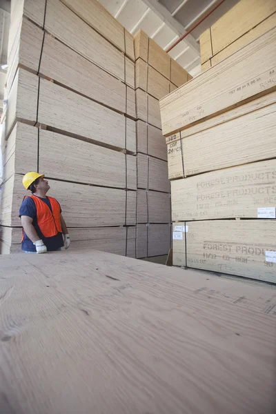 Male worker working in warehouse — Stock Photo, Image