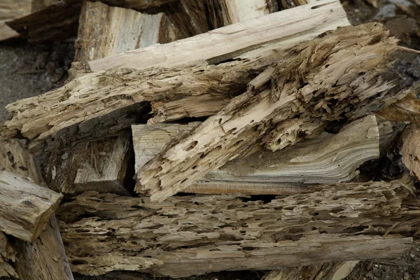 Vista ravvicinata del legno di latifoglie stagionate — Foto Stock