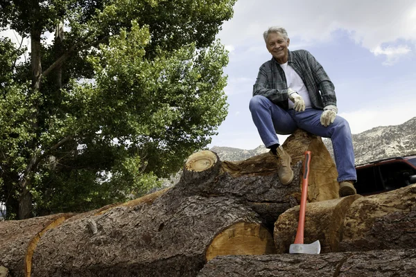 Vista de ángulo bajo del hombre sentado en un enorme tronco de árbol — Foto de Stock