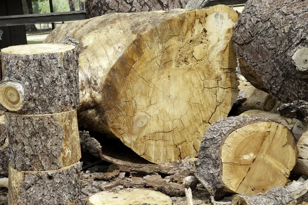 Tronchi di legno tritati — Foto Stock