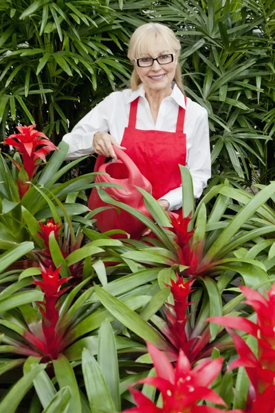 Retrato de uma mulher feliz regando plantas no jardim botânico — Fotografia de Stock