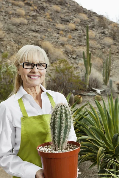 Retrato de un jardinero mayor sosteniendo una planta de cactus en maceta — Foto de Stock