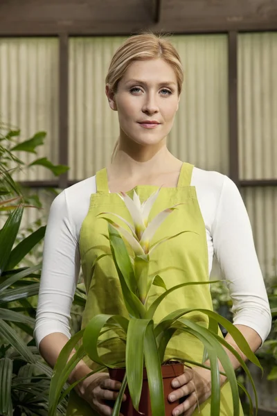 Porträt einer jungen Frau mit Topfpflanze — Stockfoto