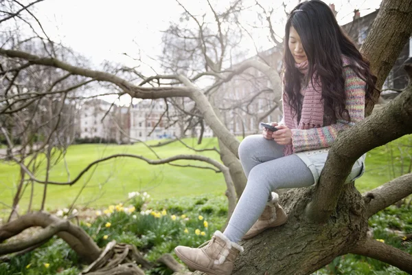 テキスト メッセージングしながら木の枝に座っていた若い女性 — ストック写真