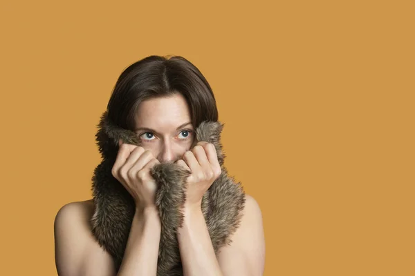 Close-up of woman with fur on face looking away over colored background — Stock Photo, Image