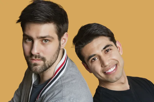 Portrait of a young male friends back to back over colored background — Stock Photo, Image