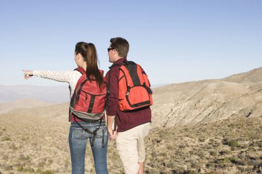 manzaraya bakarak Çift