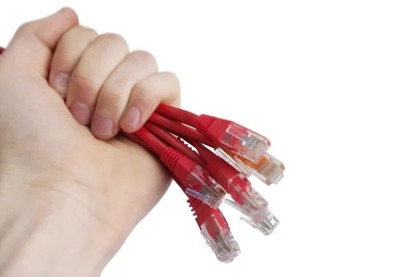 Cropped image of technician holding data cable plug over white background — Stock Photo, Image