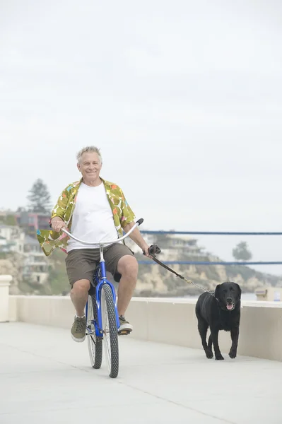 Homem sênior de bicicleta com cão — Fotografia de Stock