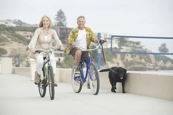 Senior koppel fietsen met een hond — Stockfoto