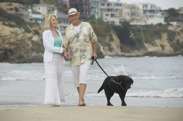 Senior koppel wandelen met de hond op strand — Stockfoto