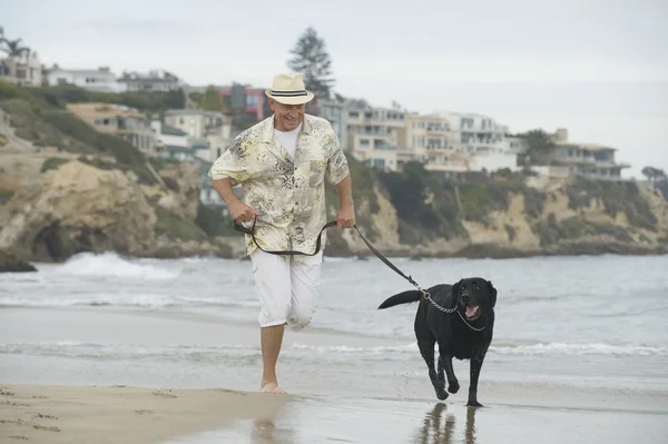 Senior man loopt met hond op strand — Stockfoto