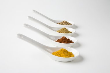 Muhtelif kaşığı baharat tam