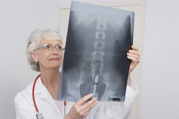 Médecin examinant un rapport de radiographie en clinique — Photo