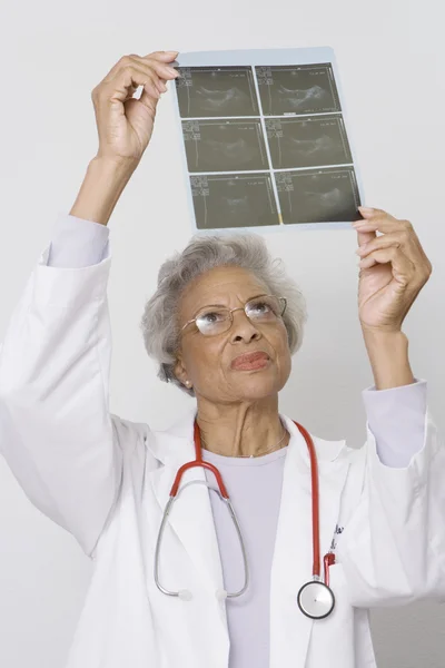 Senior female doctor examining x-ray — Stock Photo, Image