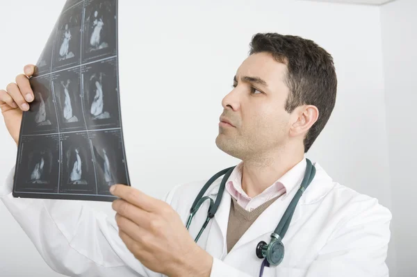 Doctor Examining X-Ray Report — Stock Photo, Image