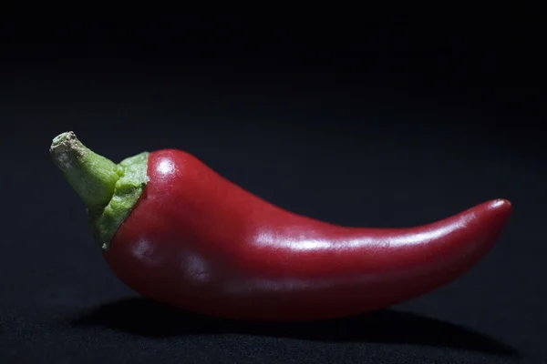 Röd chili peppar — Stockfoto