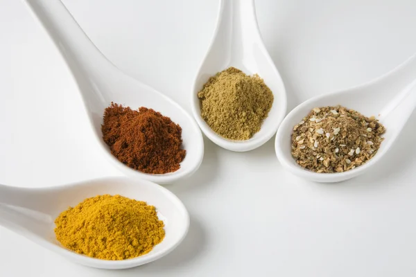 Various Spices In Spoons Royalty Free Stock Photos