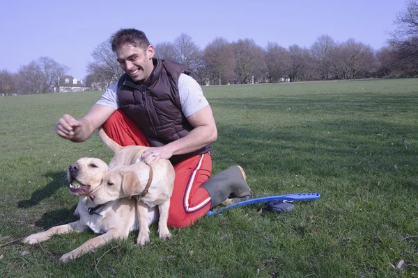 Hombre con perros en el parque — Foto de Stock