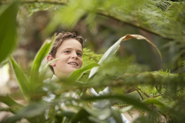 Jongen op zoek naar planten — Stockfoto