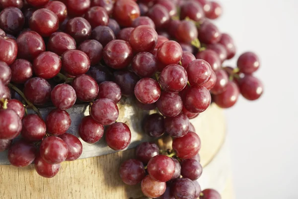 Uvas tintas frescas — Foto de Stock