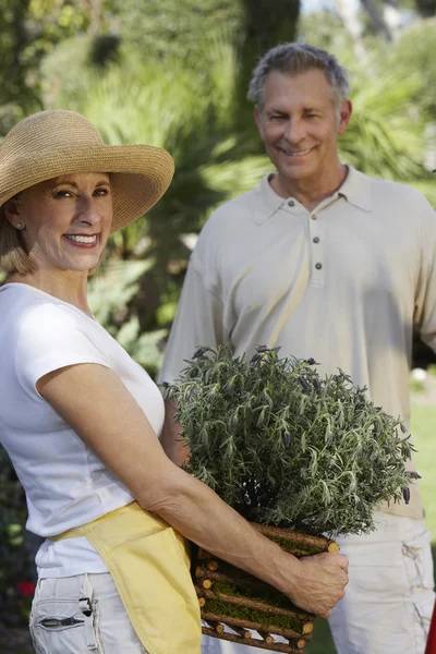 Jardinería de pareja mayor — Foto de Stock