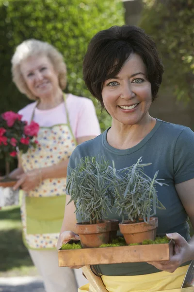 Kadın holding Saksı bitkiler — Stok fotoğraf