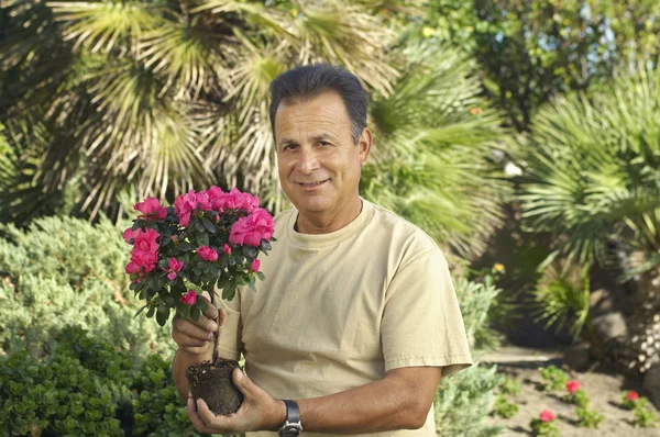 Man met ingegoten plant in tuin — Stockfoto
