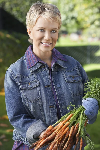 Frau hält Bündel schlammiger Möhren in der Hand — Stockfoto