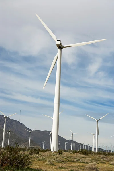 Windpark zur Stromerzeugung — Stockfoto