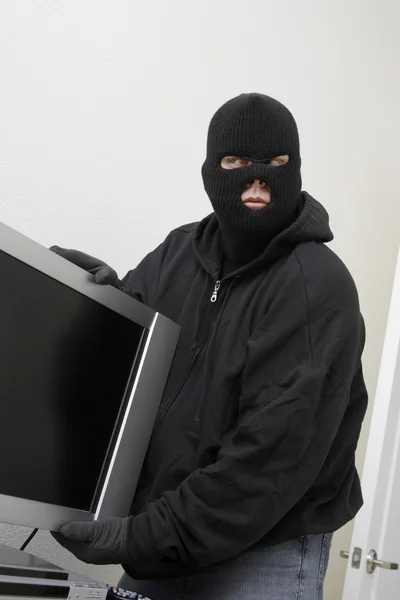 stock image Burglar Stealing Television Set