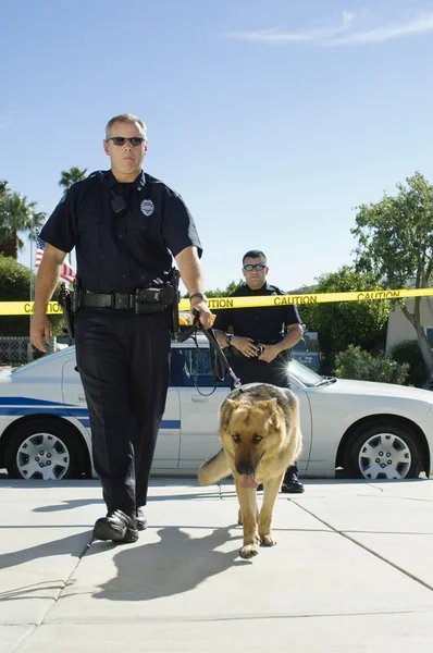 Oficial de policía con perro — Foto de Stock
