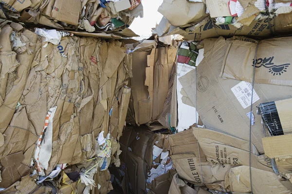 Amarrado até caixas de papelão — Fotografia de Stock