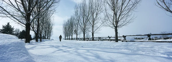 Persona che cammina nella neve — Foto Stock