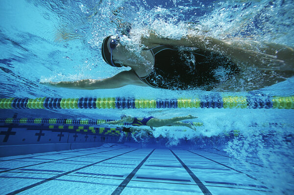 Female Swimmers Swimming