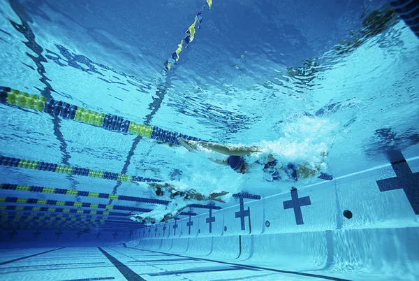 Nuotatori nuoto in piscina — Foto Stock