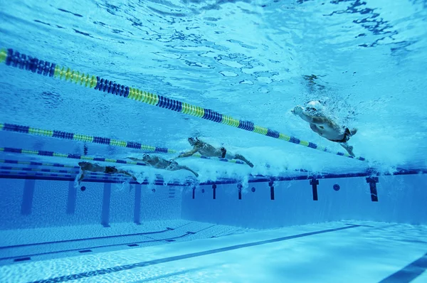 Course de nageurs en piscine — Photo