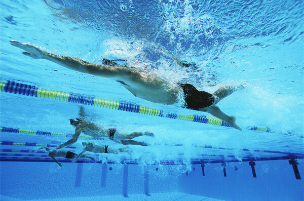 Swimmers Swimming Together In A Line During Race